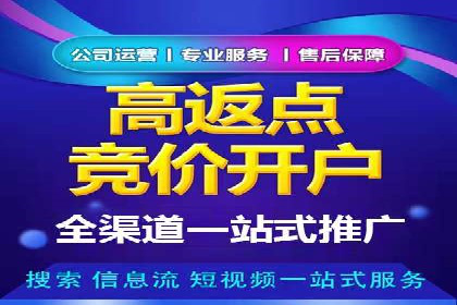 如何在有限预算下最大化百度推广费用的效果——案例解读